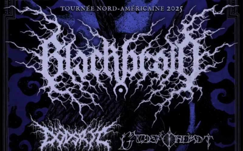 Blackbraid - Café Campus