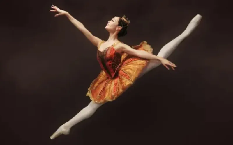 Casse-noisette - Salle Wilfrid-Pelletier (Place des arts)