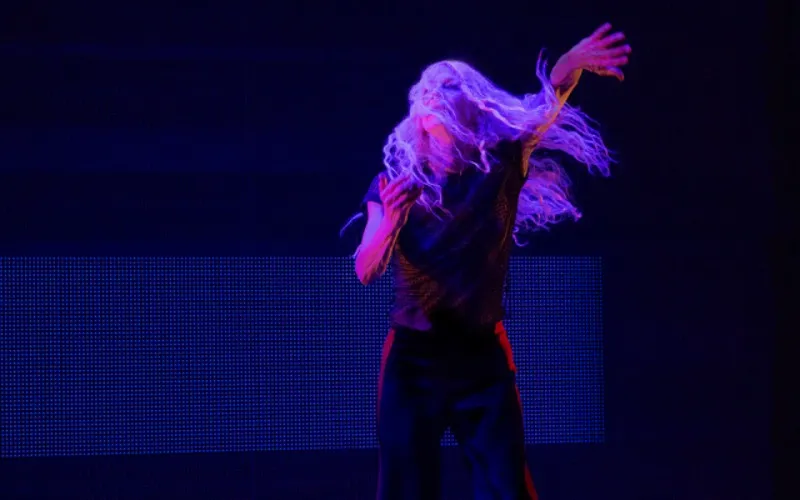 Danses vagabondes - Usine C