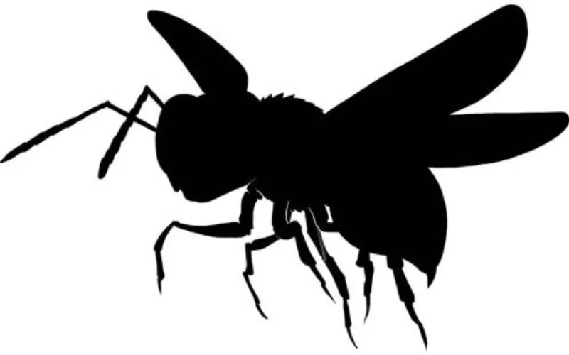 Featured Post Image 1