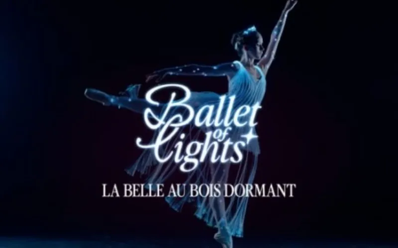La belle au bois dormant