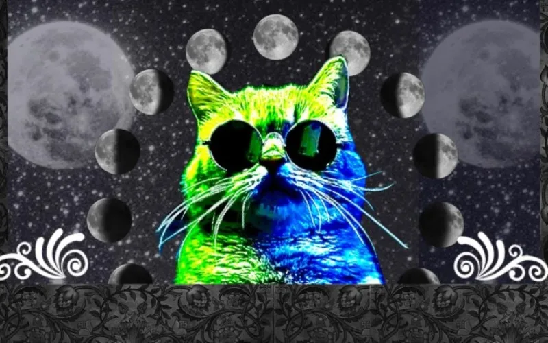 Le grand cabaret du chat bleu