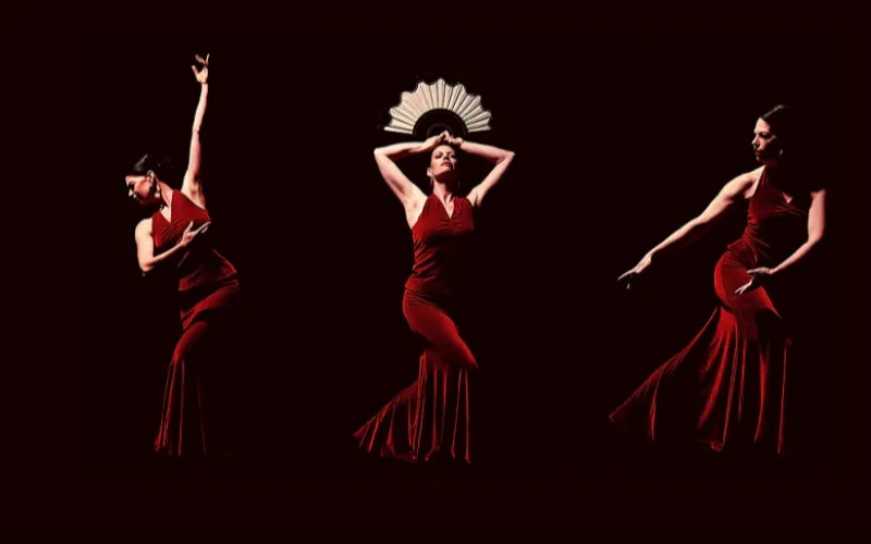 Mirada flamenco - Le Balcon