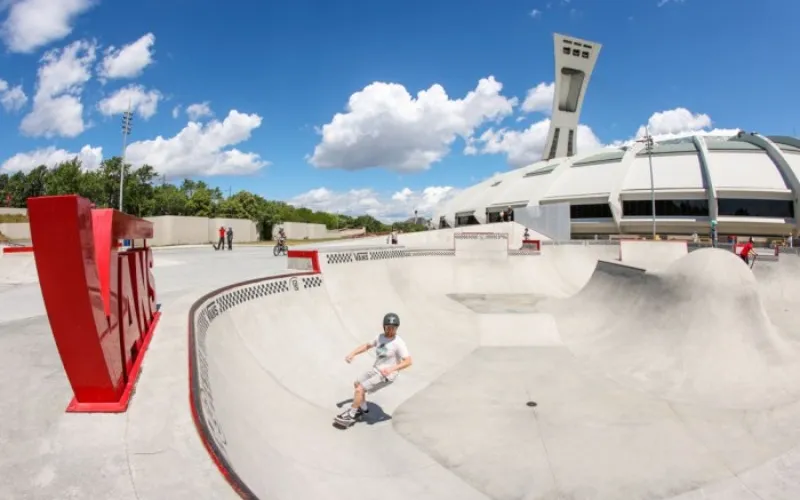 Planchodrome vans
