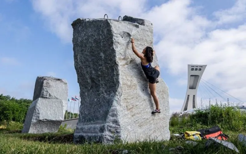 Rochers urbains