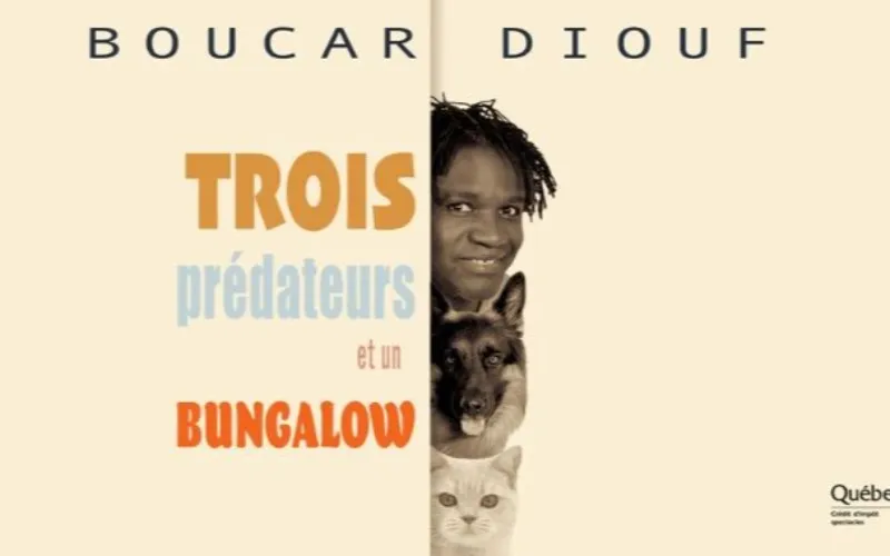 Trois prédateurs et un bungalow