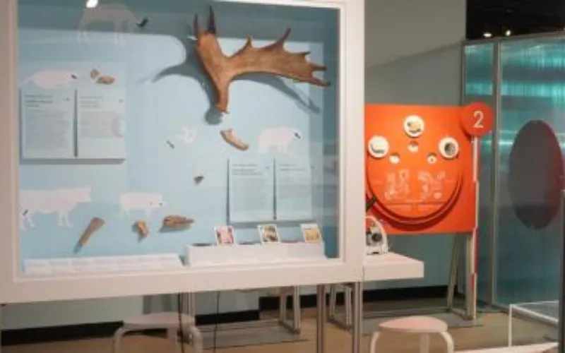 Une aventure scientifique - Musée Marguerite-Bourgeoys