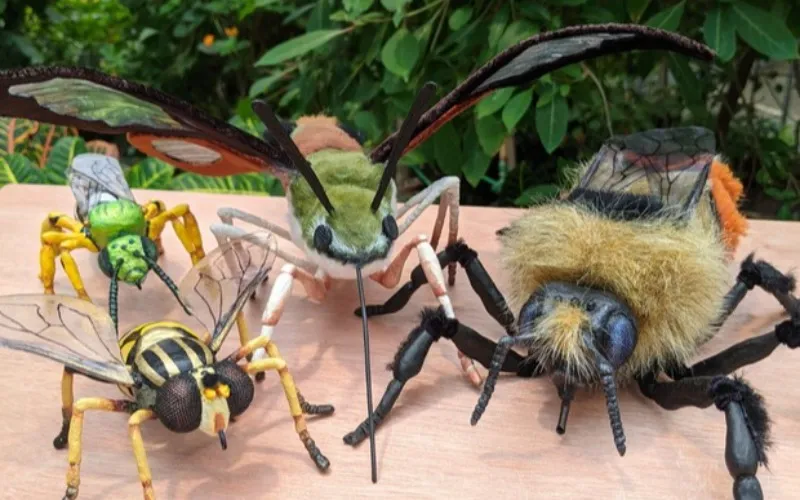 Visiter l`insectarium de montréal