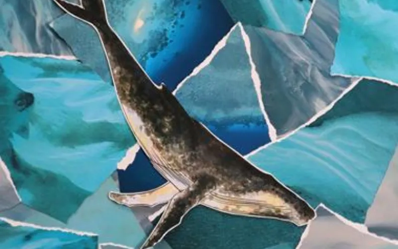 Whalefall - La Chapelle Scènes Contemporaines
