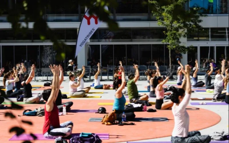 Yoga musical - Place tranquille 