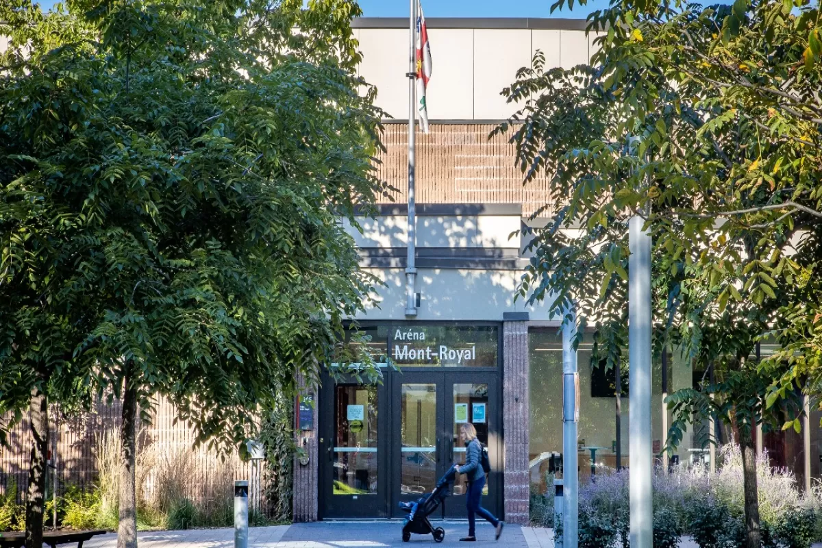 Aréna Mont-Royal