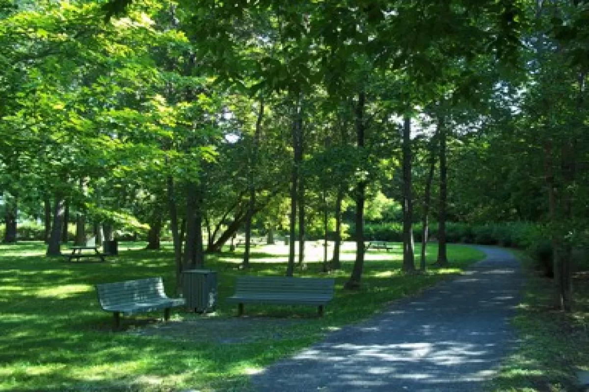 Parc de l'Irlande