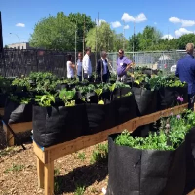 Jardin communautaire Babylone