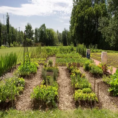 Jardin communautaire Les Deux Sapins