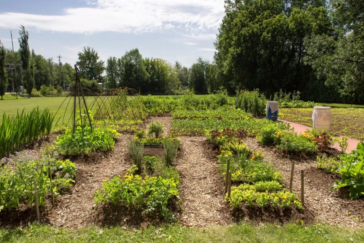 Jardin communautaire Les Deux Sapins