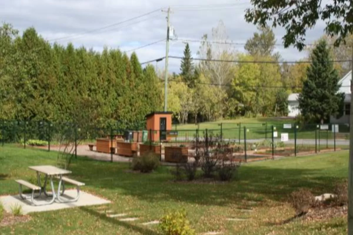 Jardin communautaire Sainte-Catherine